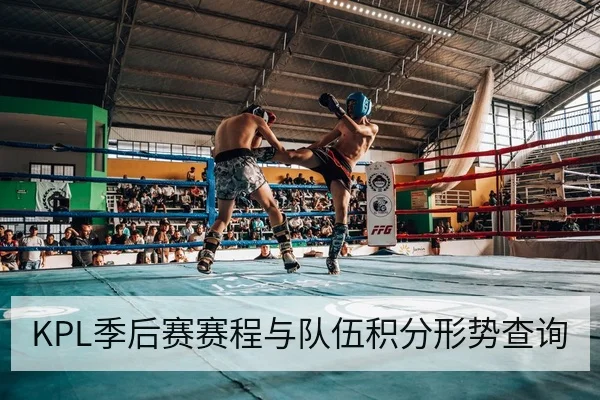 KPL季后赛赛程与队伍积分形势查询